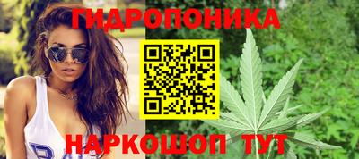 сатива Бузулук
