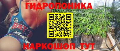 сатива Бузулук