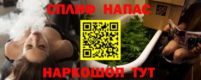 сатива Бузулук