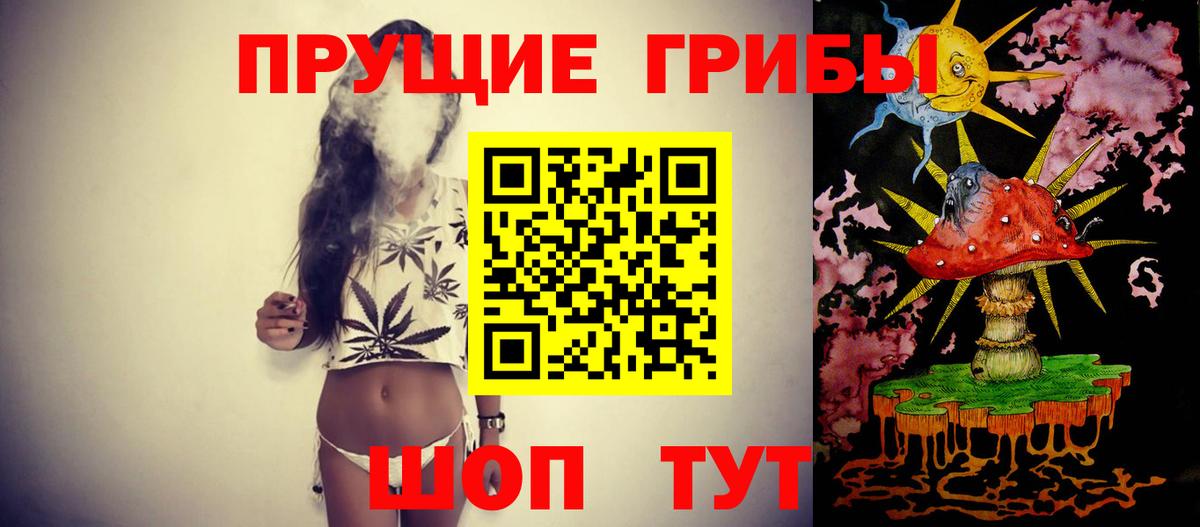 Галлюциногенные грибы MAGIC MUSHROOMS  Вход с VPN  Коряжма 