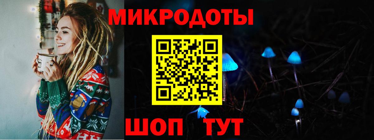 Псилоцибиновые грибы мицелий Коряжма